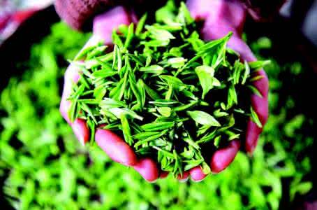 白癜风扩散全是因为它 白癜风扩散全是因为它.jpg